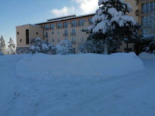 Reha / Kur Klinik mit Hund-Beitrag-Bild