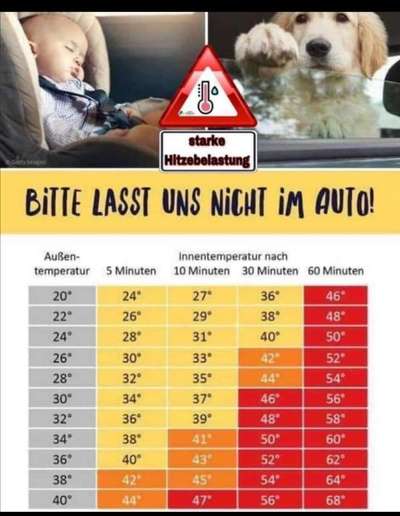 Hund im Backofen!!! Todesfalle Auto...-Beitrag-Bild