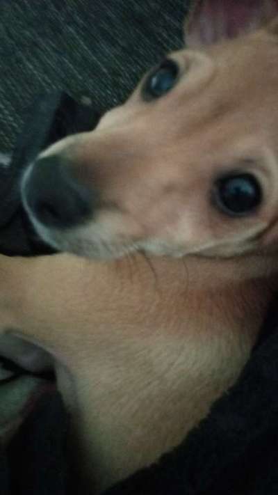 Lieblingsbild-Beitrag-Bild