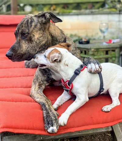 11. Farben Foto Challenge Rot-Beitrag-Bild