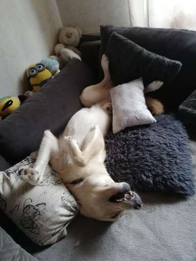 Lustige Grimassen & verrückte Posen-Beitrag-Bild