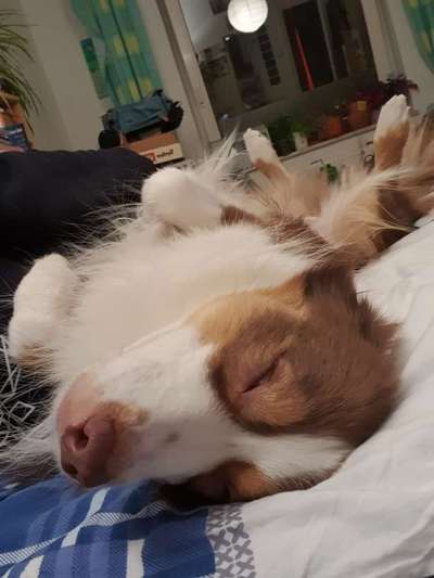 Die unbequemsten und lustigsten Schlafpositionen-Beitrag-Bild