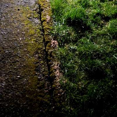 Giftköder-Unklare Substanz-Bild