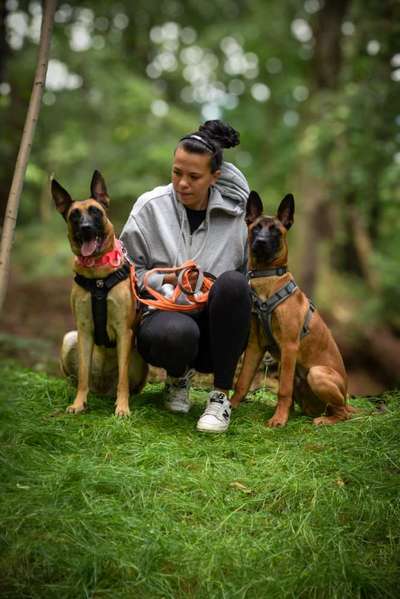 Hundetreffen-Gassi treffen an der Leine-Bild