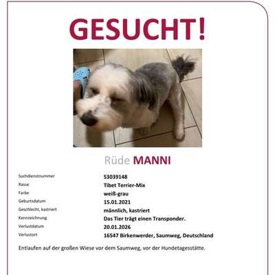 Suchmeldung-Manni-Bild
