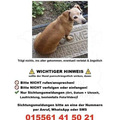 Suchmeldung-Maxi-Bild