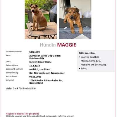 Suchmeldung-Maggie-Bild