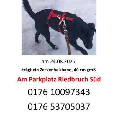 Suchmeldung-Nita-Bild