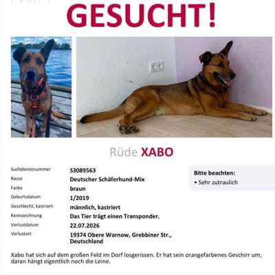 Suchmeldung-Xabo-Bild