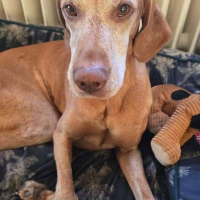 Suchmeldung-Arthas-Bild