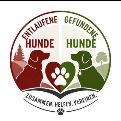 Titelbild Gruppe Entlaufene Gefundene oder gesichtete Hunde Raum Berlin Brandenburg