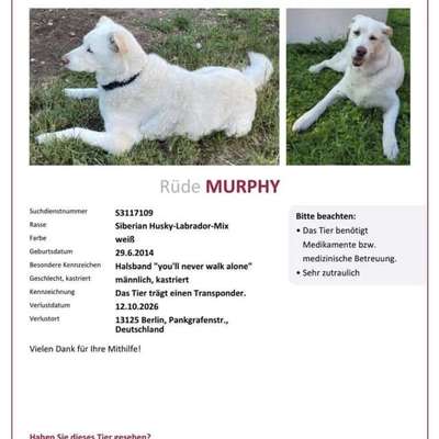 Suchmeldung-Murphy-Bild