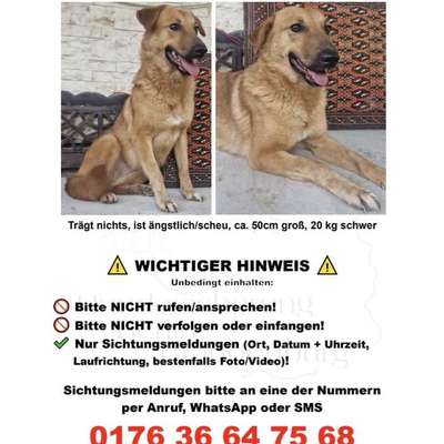 Suchmeldung-Pani-Bild