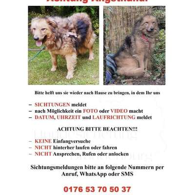 Suchmeldung-Sonne-Bild