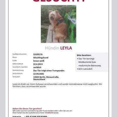 Suchmeldung-Leyla-Bild