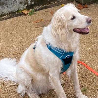 Suchmeldung-Kimon-Bild