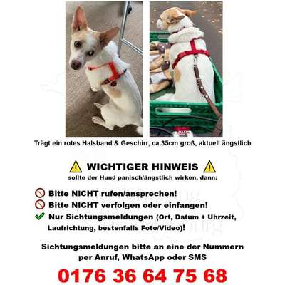 Suchmeldung-Gerda-Bild