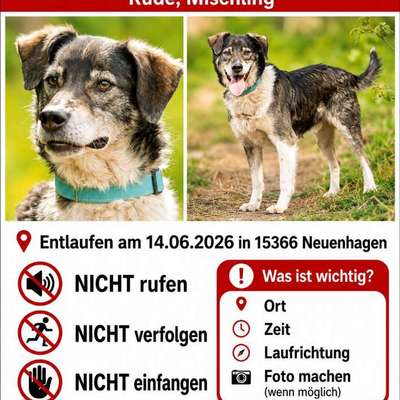 Suchmeldung-Malysh ängstlich-Bild