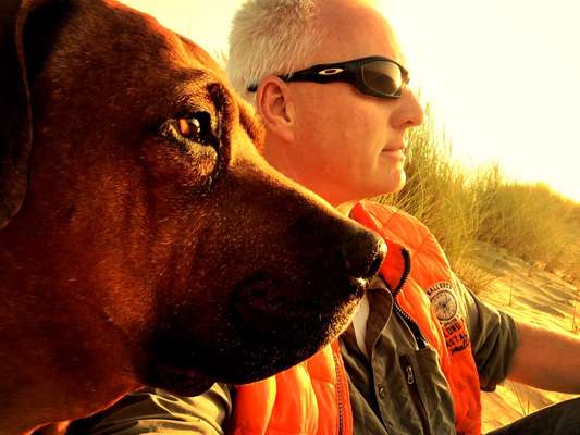 Rhodesian Ridgeback-Beitrag-Bild