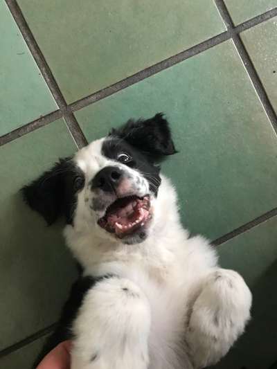 Handy-foto Challange nr. 11-Beitrag-Bild