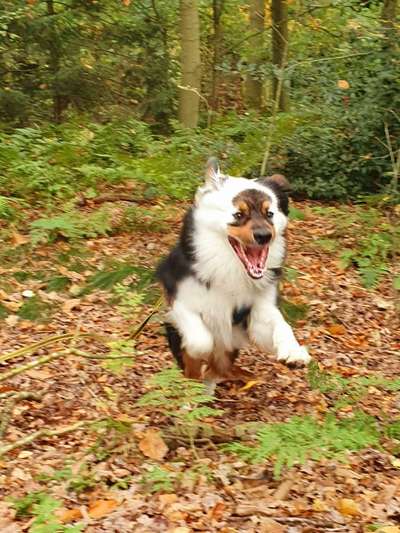 Fotochallenge Nr. 52 „Spring!“-Beitrag-Bild