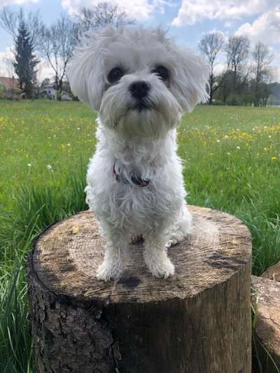 Theos Fotochallenge Nr. 3-Beitrag-Bild