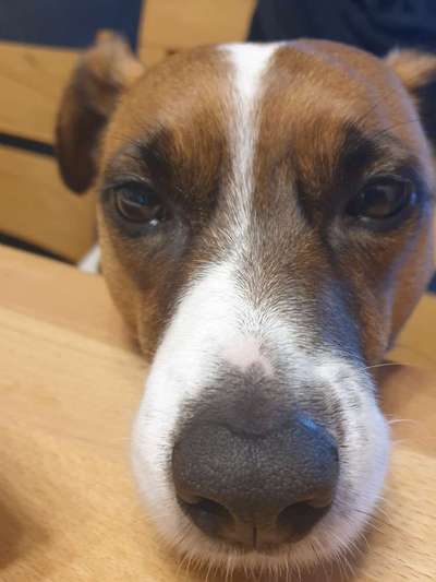 Fotochallange Nr. 57     PORTRÄT.   Beendet!!!!!!!!-Beitrag-Bild