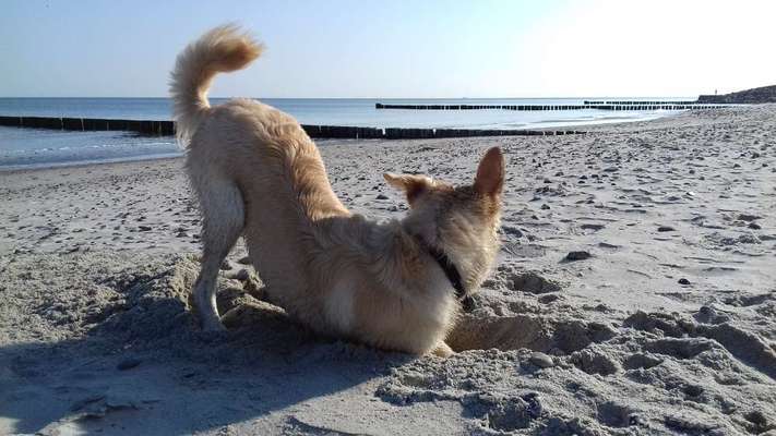 Lustige Grimassen & verrückte Posen-Beitrag-Bild