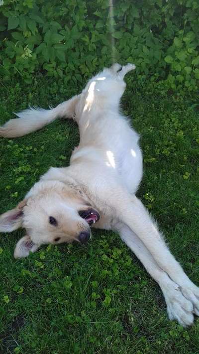 Lustige Grimassen & verrückte Posen-Beitrag-Bild