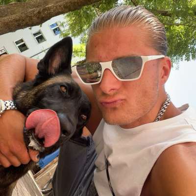 Hundetreffen-Spielpartner/in-Bild