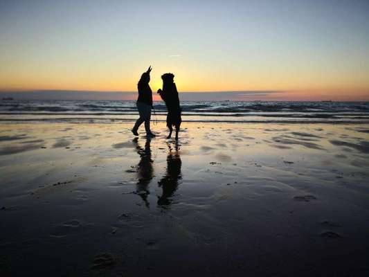 Dogorama Photo Challenge - Tierischer Urlaub-Beitrag-Bild