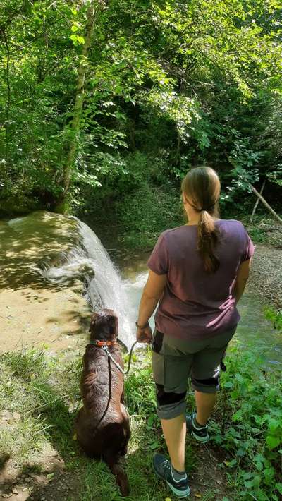 Dogorama Photo Challenge - Wasserfall-Beitrag-Bild