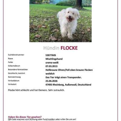 Suchmeldung-Flocke-Bild