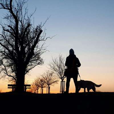 Hundetreffen-Hunderunde mit spielen und trainieren.-Profilbild