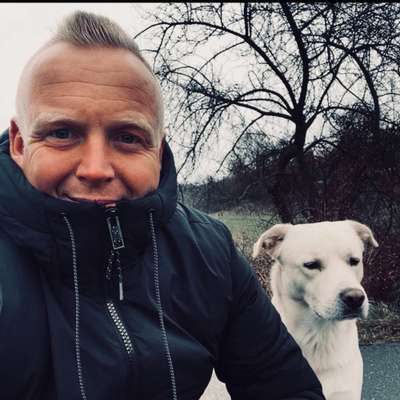 Hundetreffen-Spieltreff in Soest