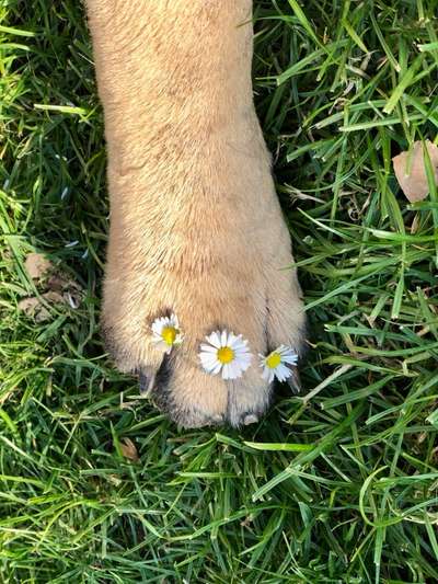 Blick fürs Detail!-Beitrag-Bild