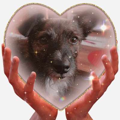 Photoshop und Co.-Beitrag-Bild