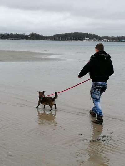 Dogorama-Monats-Challenge-Mai "Wasser"-Beitrag-Bild