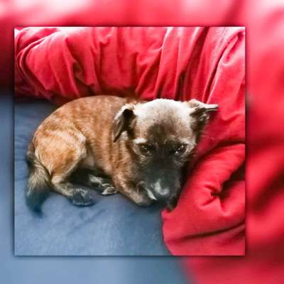 Photoshop und Co.-Beitrag-Bild