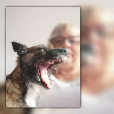 20. Handy -Foto-Callenge-Beitrag-Bild