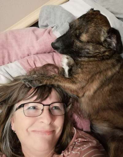 Hunde sind die beste Medizin-Beitrag-Bild