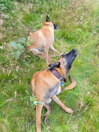 Lustige Grimassen & verrückte Posen-Beitrag-Bild