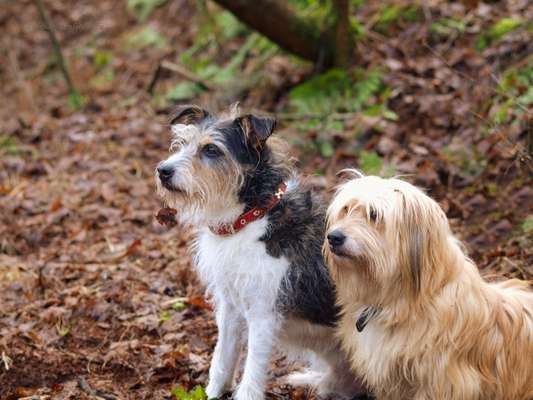 Lieblings Fotos-Beitrag-Bild