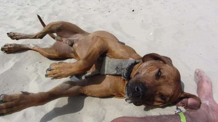 Fotowettbewerb Natur-Beitrag-Bild