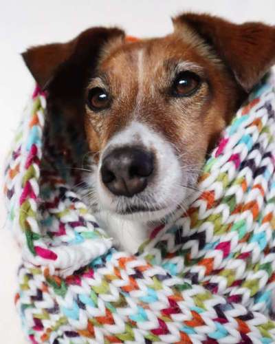 Fotochallange Nr. 57     PORTRÄT.   Beendet!!!!!!!!-Beitrag-Bild