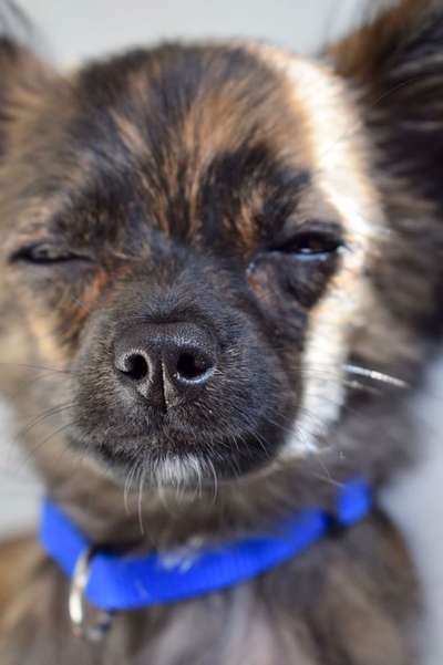 Zeigt eure Portraits-Beitrag-Bild