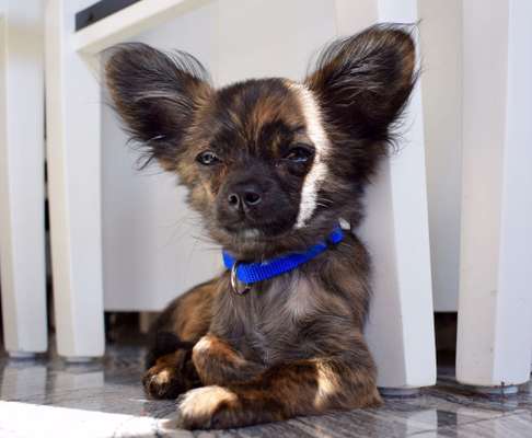 Zeigt eure Portraits-Beitrag-Bild