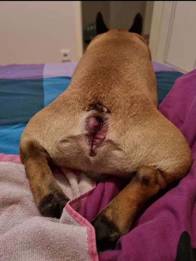 Beule am Poloch-Beitrag-Bild