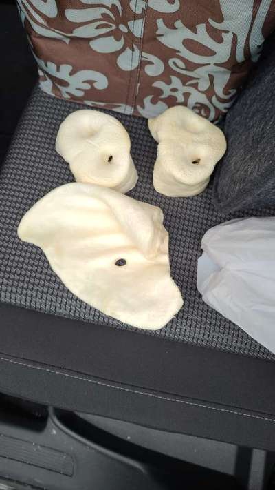 Welche Art von Kauknochen?-Beitrag-Bild