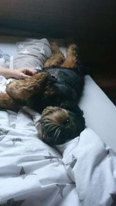 Alles am zerstören-Beitrag-Bild